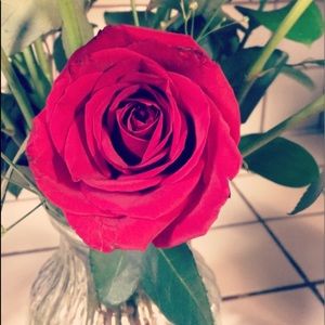 Meet your Posher, Angie